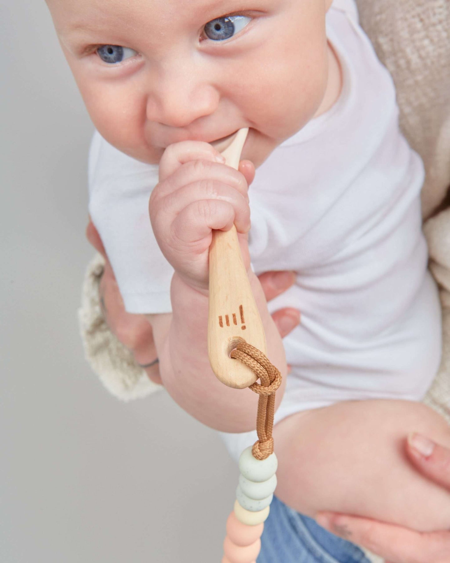 Dandelion Feeding Set + Clip image 4